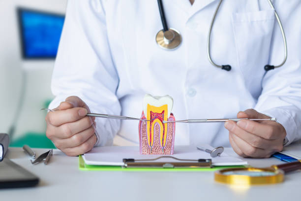 Best Chipped Tooth Repair Near Me  in Cerro Gordo, IL